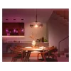 Philips Hue biały and colour ambience A60 – E27 smart bulb – 810
