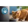 Automatyczny karmnik dla zwierząt Philips 5000 series PAW5320/02 z kamerą, pojemność na karmę i wodę 4,5 l, obudowa z tworzywa sztucznego, do użytku wewnątrz