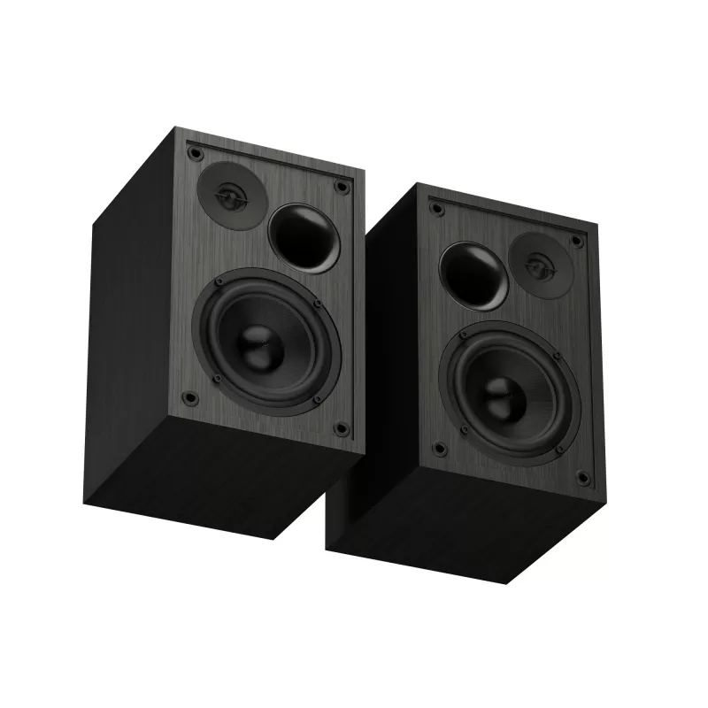 GENESIS NGS-2343 głośnik Czarny Przewodowy i bezprzewodowy 20 W