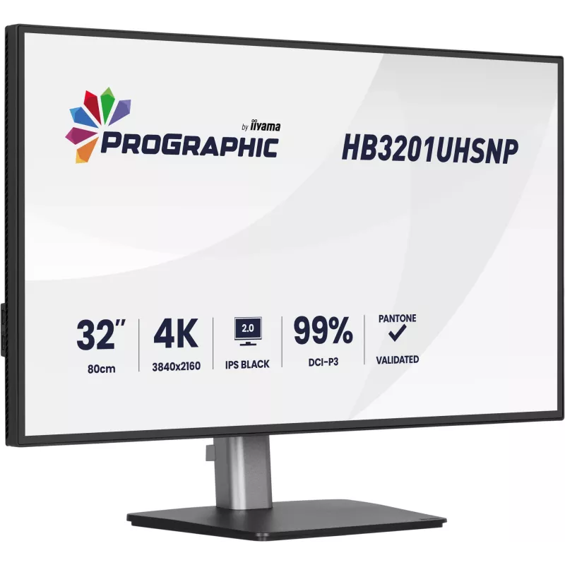 IIYAMA 32 calowy ProGraphic HB3201UHSNP-B1 4K UHD IPS monitor LCD z USB-C i DisplayPort