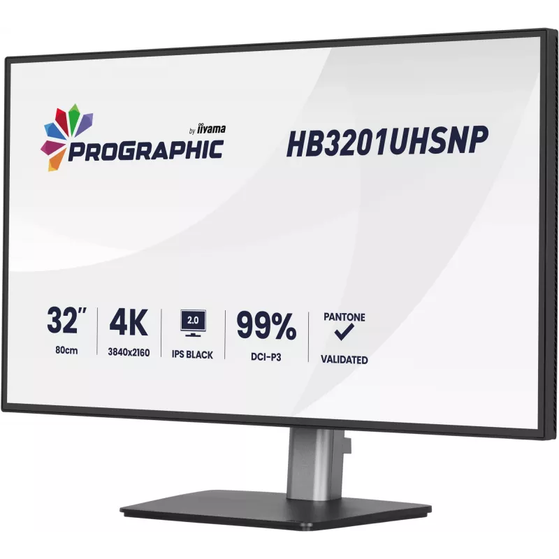 IIYAMA 32 calowy ProGraphic HB3201UHSNP-B1 4K UHD IPS monitor LCD z USB-C i DisplayPort