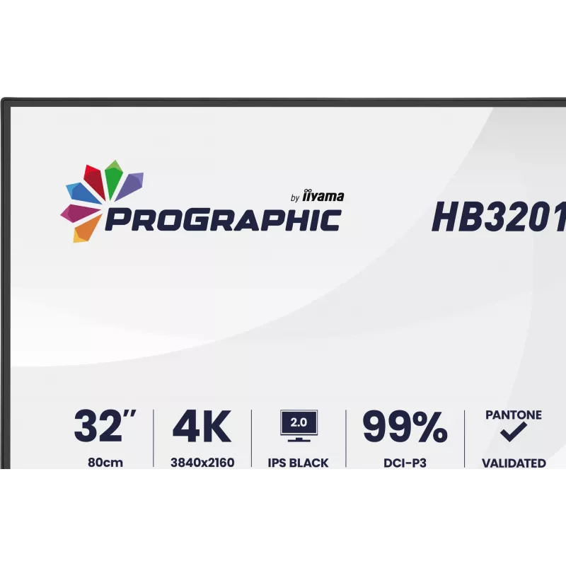 IIYAMA 32 calowy ProGraphic HB3201UHSNP-B1 4K UHD IPS monitor LCD z USB-C i DisplayPort