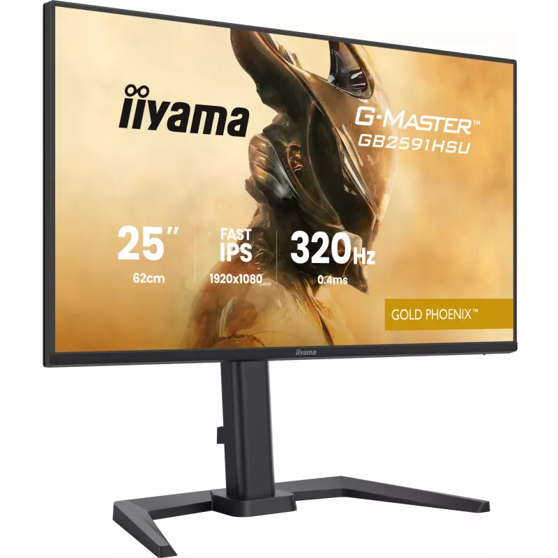 Monitor gamingowy IIYAMA G-Master GB2591HSU-B1 24,5 cala (68,6 cm) Full HD — HDMI/DisplayPort/USB, czarny