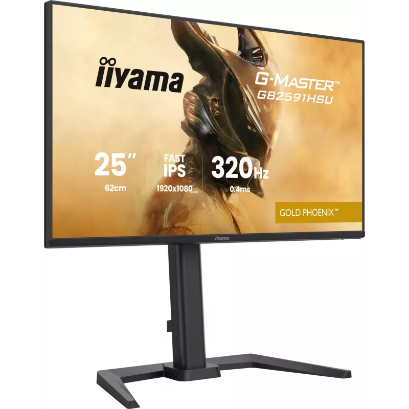 Monitor gamingowy IIYAMA G-Master GB2591HSU-B1 24,5 cala (68,6 cm) Full HD — HDMI/DisplayPort/USB, czarny