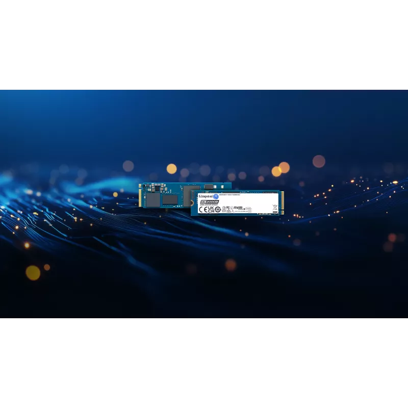 Kingston Technology 240G DC2000B PCIe 4.0 M.2 2280 Enterprise SSD (bez radiatora)