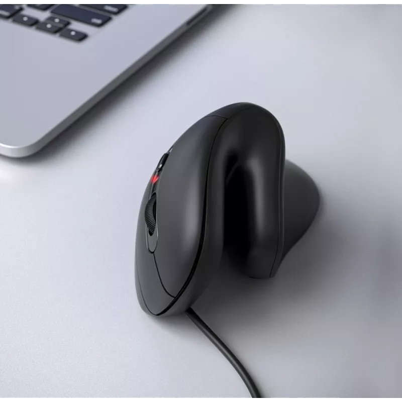 Mysz Equip 245119 uniwersalna praworęczna USB typu A + USB typu C optyczna 7200 DPI