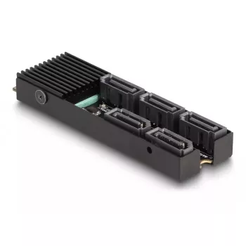 DeLOCK Konwerter M.2 2280 Key B+M męski na 5 x SATA z radiatorem