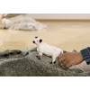 Schleich Krowa Galloway 13960 Czarno-Biała Zalecany Wiek 3+