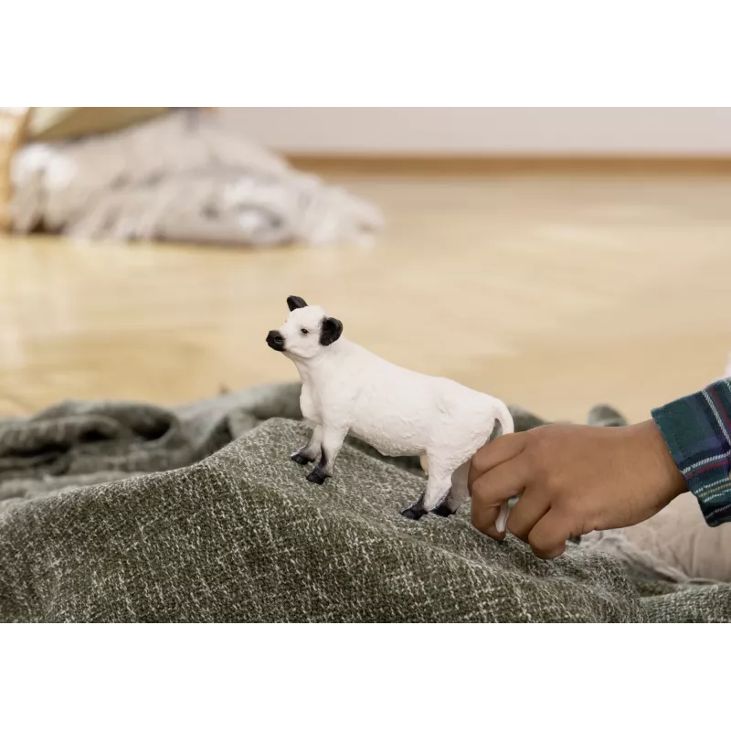Schleich Krowa Galloway 13960 Czarno-Biała Zalecany Wiek 3+