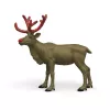 schleich WILD LIFE Złoty renifer jubileuszowy, 14 lat, Wielokolorowy, 1 szt.