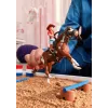 schleich HORSE CLUB Przygody Hanny na Dzikim Zachodzie, 5 lat, Konie, Wielokolorowy, Plastik