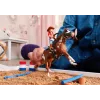 schleich HORSE CLUB Przygody Hanny na Dzikim Zachodzie, 5 lat, Konie, Wielokolorowy, Plastik