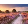 Puzzle Ravensburger Pink Pathway Netherlands, 1000 elementów, 700×? mm, grubość 2 mm
