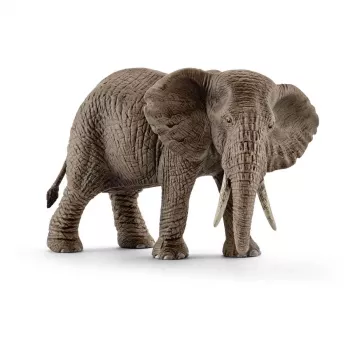 schleich WILD LIFE słoń afrykański, samica, 3 lat(a), Safari, Dzikie zwierzęta / zabawki przygodowe, Wielokolorowy, Plastik, 1 szt.