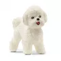 schleich Bichon Frise, 3 lata, Psy, Zwierzęta gospodarskie / zabawki rolnicze, Biały, Plastik