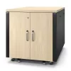 APC NetShelter Soundproof, 12U, Obudowa serwerowa, klon