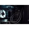 Kingston Technology FURY 32GB 3600MT/s DDR4 CL18 DIMM Renegade Czarny