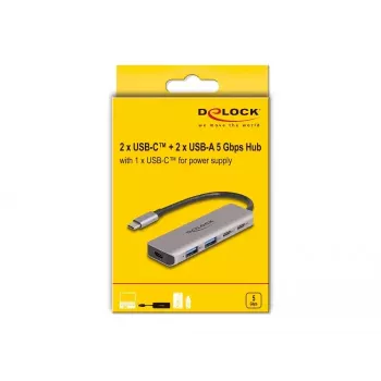 DeLOCK USB Hub 5 Gbps 2 Port USB Type-C i 2 Port Type-A Szary Metal