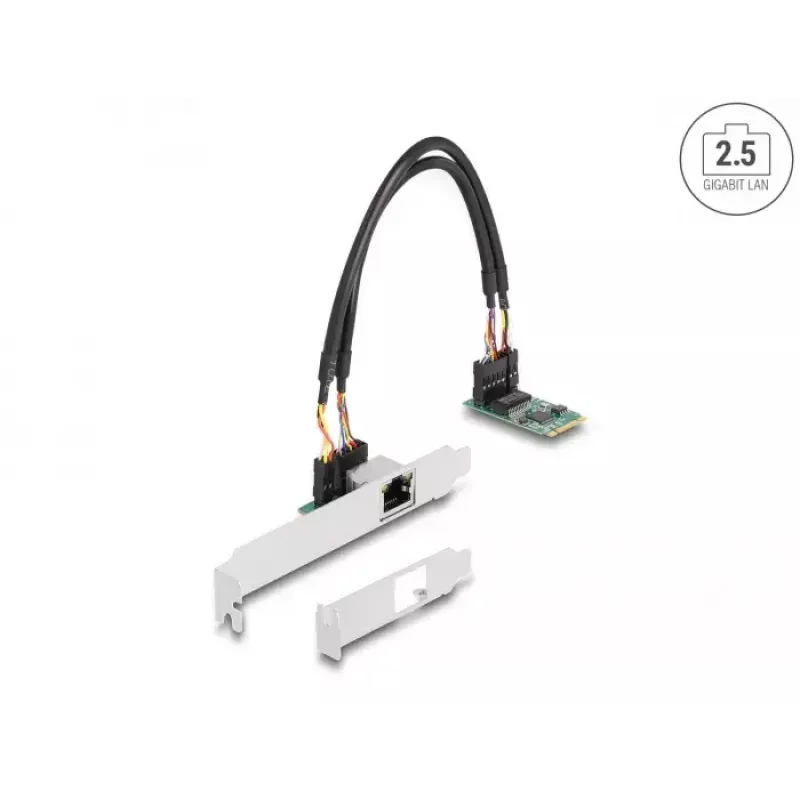 DeLOCK 95272 Wewnętrzna karta sieciowa 2500 Mbit/s Przewodowa M.2 Ethernet
