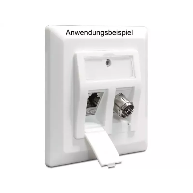 Puszka natynkowa/wpodtynkowa DeLOCK 86202