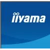 27-calowy monitor LED IIYAMA ProLite XB2797QSU-W1 IPS Quad HD (2560x1440), kąt widzenia 178°, hub USB 3.2, głośniki, VESA, regulacja wysokości, biały