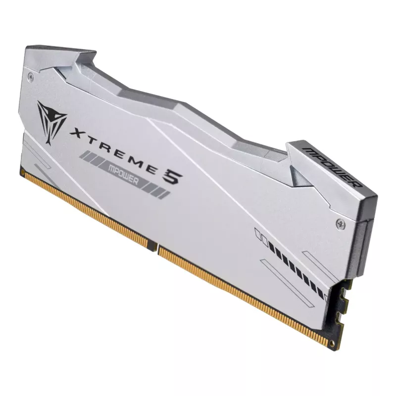 Patriot Viper Gaming RGB XTREME 5 DDR5-6000 RAM, CL 30, Intel XMP 3.0 - 48GB Dual-Kit, silber