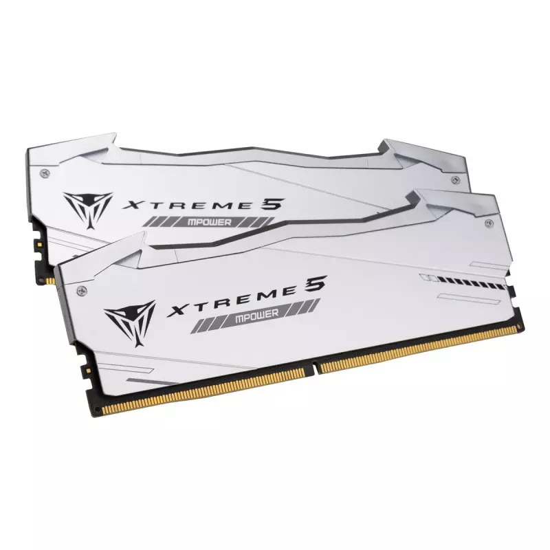 Patriot Viper Gaming RGB XTREME 5 DDR5-6000 RAM, CL 30, Intel XMP 3.0 - 48GB Dual-Kit, silber