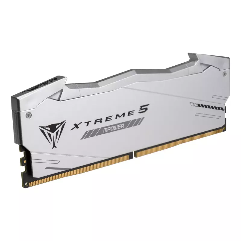 Patriot Viper Gaming RGB XTREME 5 DDR5-6000 RAM, CL 30, Intel XMP 3.0 - 48GB Dual-Kit, silber