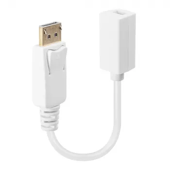 Lindy DisplayPort Male to Mini DisplayPort Female Adapter kabel