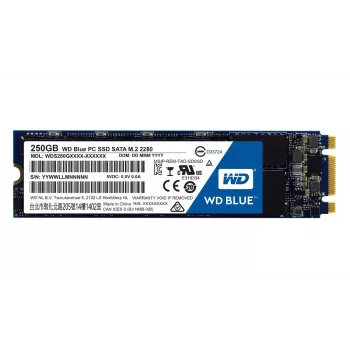 Dysk SSD Western Digital 250 GB 2,5 cala SATA3 WDS250G1B0B