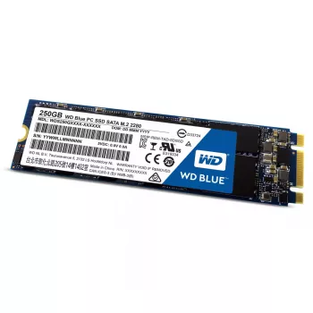 Dysk SSD Western Digital 250 GB 2,5 cala SATA3 WDS250G1B0B