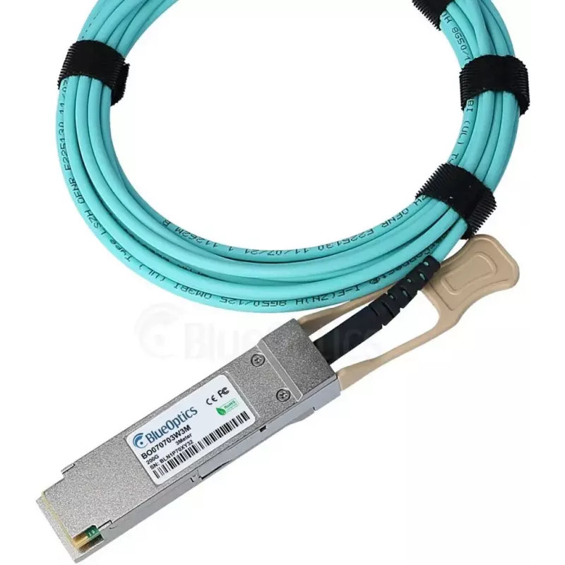 Kabel światłowodowy BlueOptics QSFP56 do QSFP56 10 m, męski-męski, pomarańczowy