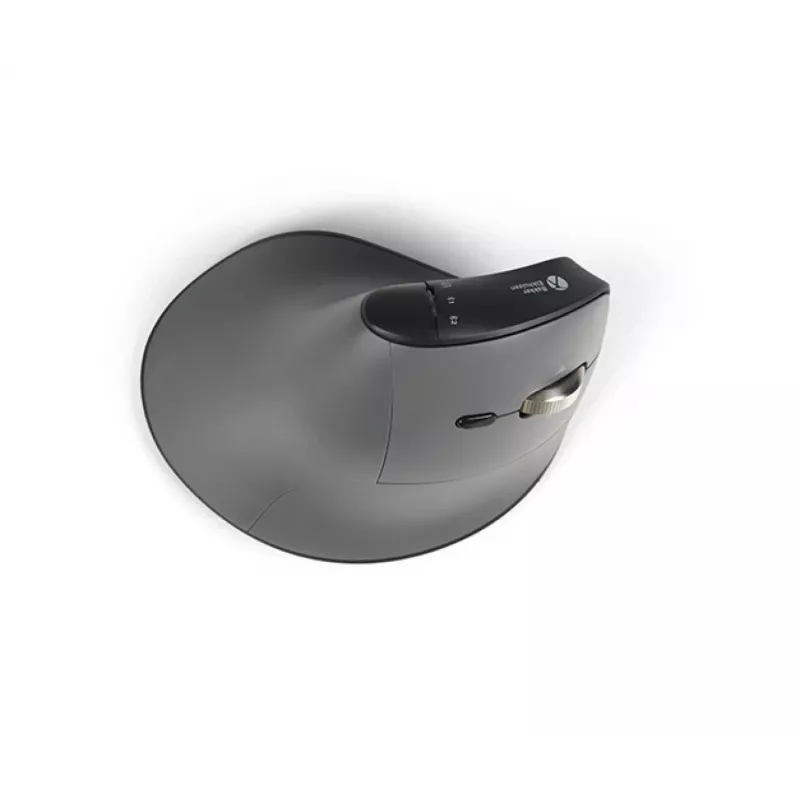Mysz BakkerElkhuizen FastForward Pro, praworęczna, konstrukcja pionowa, optyczna, RF Wireless + Bluetooth + USB Type-C, 5000 DPI, czarna, szara