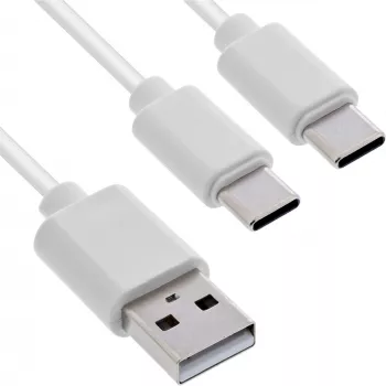 Kabel USB InLine 35122W USB 2.0 2 m USB A 2 x USB C Biały