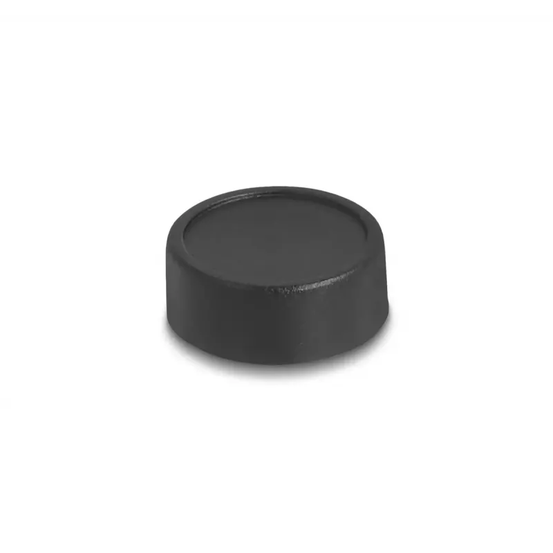 Kamera internetowa DeLOCK 12069 2.1 MP 1920 x 1080 pikseli USB 2.0 Czarny