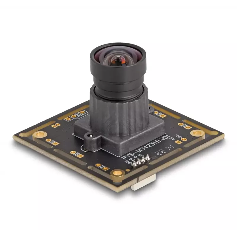 Kamera internetowa DeLOCK 12069 2.1 MP 1920 x 1080 pikseli USB 2.0 Czarny