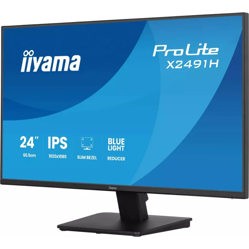 Monitor komputerowy IIYAMA ProLite X2491H-B1 23.8 cala (60,5 cm) IPS LCD Full HD 1920×1080 Matowy czarny, VESA