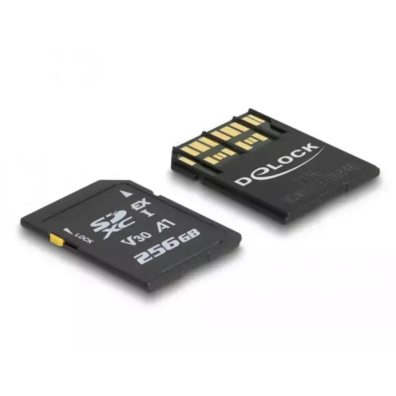 Karta pamięci DeLOCK 256GB SD UHS-I 54091