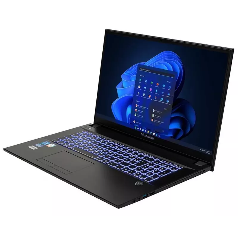 bluechip TRAVELline B17W27 Intel® Core™ i5-1335U Prozessor / do 4,60 GHz, Windows 11 Pro, 17,3-calowy matowy panel IPS, 1920 x 1080, 16 GB DDR4, 500 GB NVMe SSD, WLAN 802.11 ax, Bluetooth 5.3, Gigabit Ethernet, karta graficzna Intel® Iris® Xe, DVD±RW, norma wojskowa MIL-STD 810G