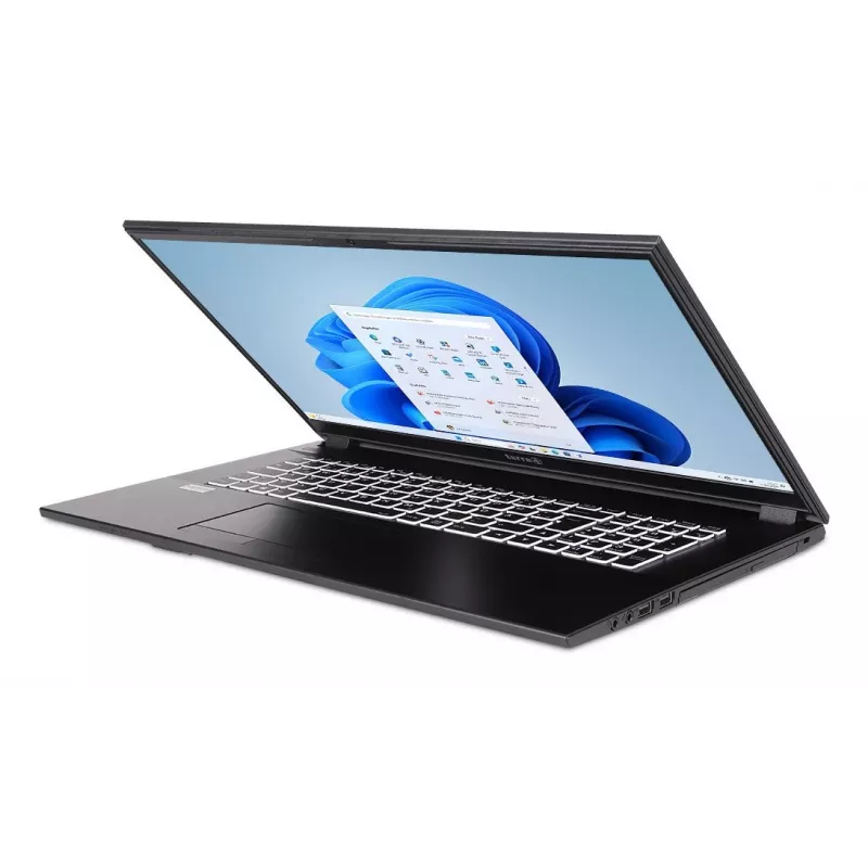 TERRA 1220855 laptop Intel® Core™ i5 i5-1334U 43,9 cm (17,3 cala) Full HD 16 GB DDR4-SDRAM 500 GB SSD Wi-Fi 6 (802.11ax) Windows 11 Home German szary