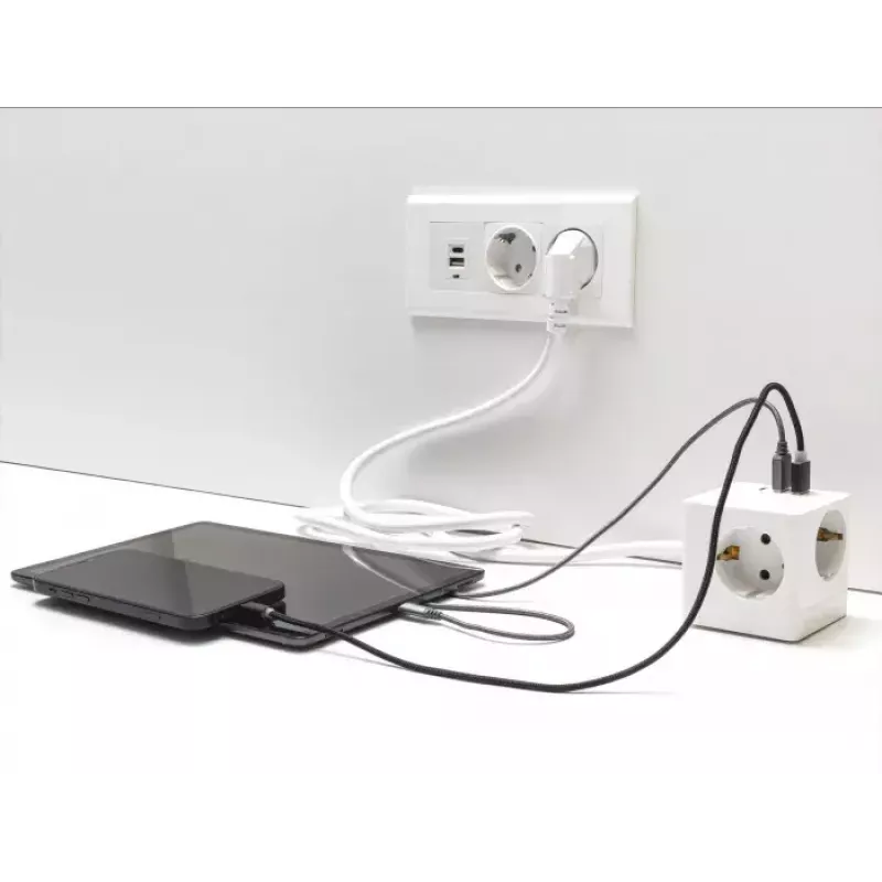 DeLOCK 11497 Gniazdko CEE 7/3 + USB Biały 250V 16A