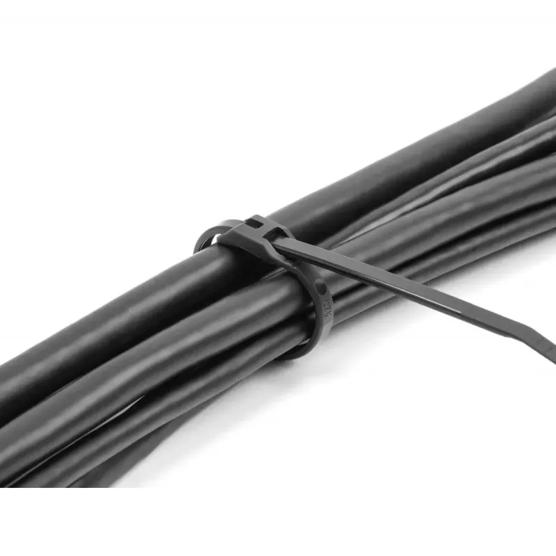 Opaska zaciskowa DeLOCK 19466 poliamidowa czarna 205mm 100szt.