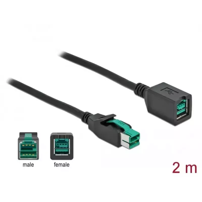 Przedłużacz USB z zasilaniem DeLOCK 85981 12 V 2 m