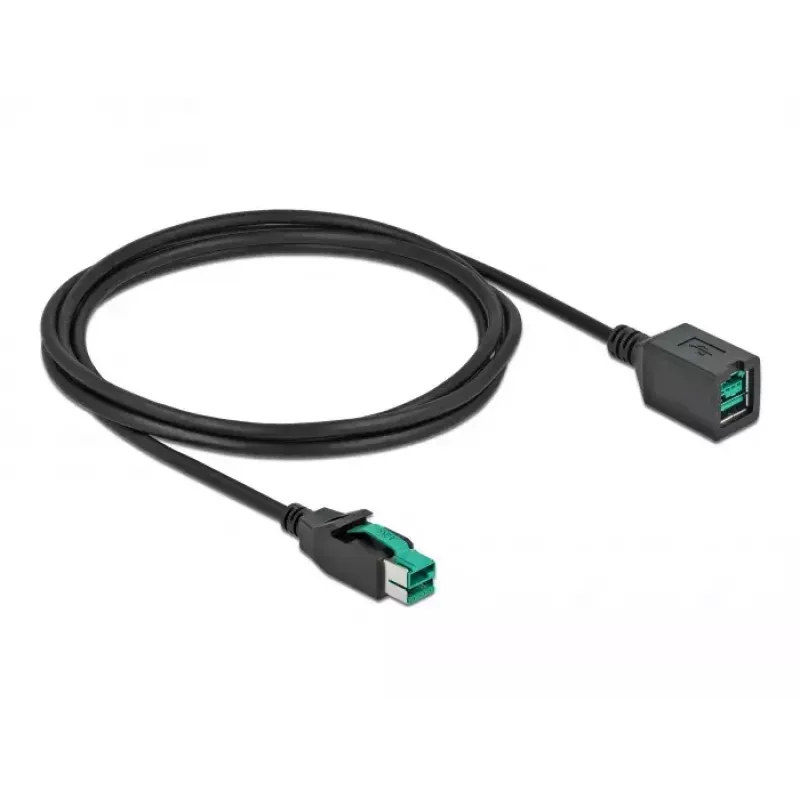 Przedłużacz USB z zasilaniem DeLOCK 85981 12 V 2 m