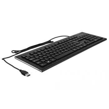 Klawiatura DeLOCK 12672 Biurowa USB QWERTZ Niemiecki Czarny