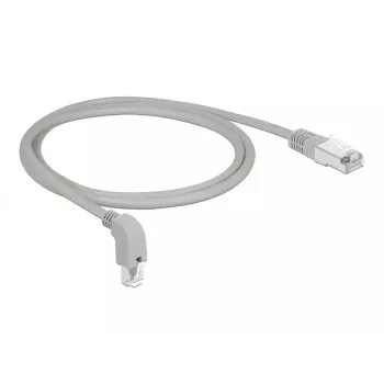 Kabel sieciowy DeLOCK 85865 1m Cat6 S/FTP Szary