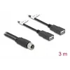 DeLOCK 60651 kabel czujnika/aktuatora 3 m M12 2 x USB Typ-A czarny
