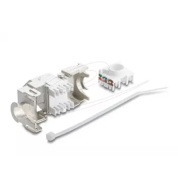 Moduł Keystone DELOCK 90938 — płaski ekranowany klucz RJ-45 Cat.6A, biały