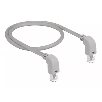 Kabel sieciowy DeLOCK 85859 Cat5e SF/UTP 1m szary