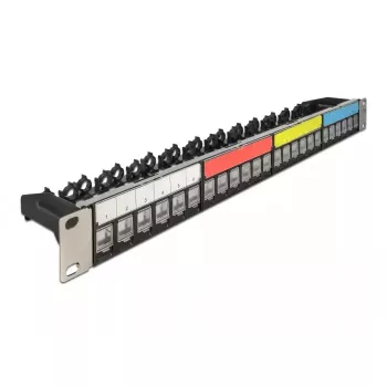 Patch Panel DeLOCK 19 cali 24 porty z prowadnicą kabli